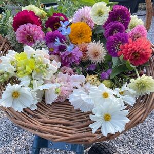 Meet your Posher, Tammie